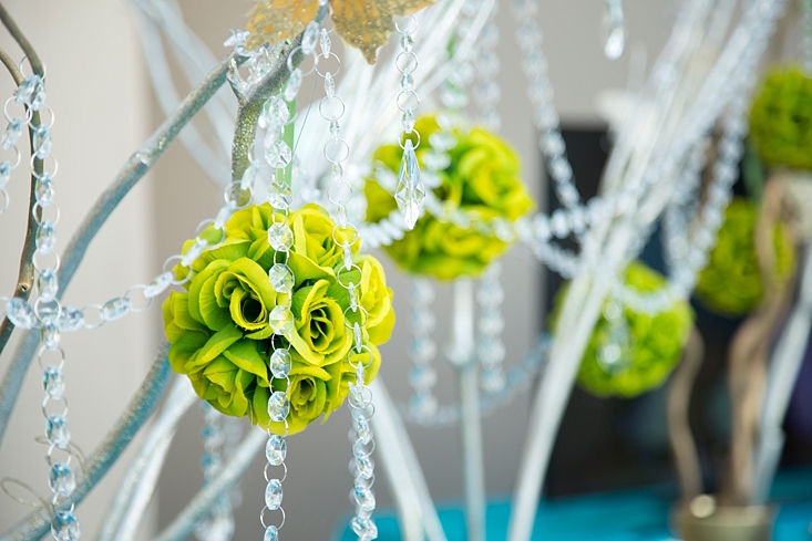 1010__ShalimarStudios